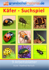 Käfer-Suchspiel.pdf